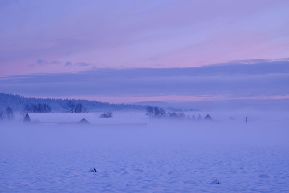 From Rovaniemi: Winter Wonderland Hike With a Hot Drink - Tour Details