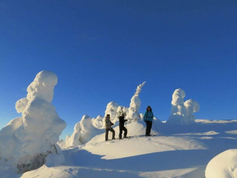 From Ruka: Snowshoeing In Riisitunturi National Park Snowshoeing Experience