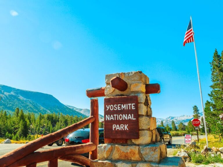 From San Francisco: Yosemite National Park Private Day Tour Tour Highlights