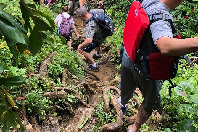 From San Juan: El Yunque Rainforest Hiking Adventure - Overview of the El Yunque Rainforest Tour