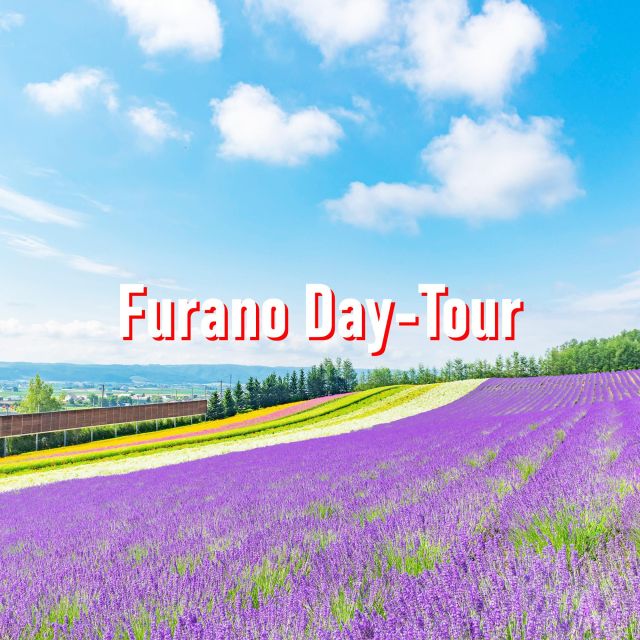 From Sapporo: 10 Hour Customized Private Tour To Furano Tour Overview And Pricing