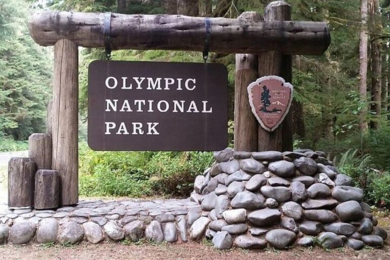 From Seattle: Olympic National Park Full Day Tour Tour Duration And Type