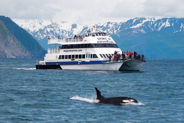 From Seward: Kenai Fjords National Park Cruise With Lunch Highlights Of The Cruise