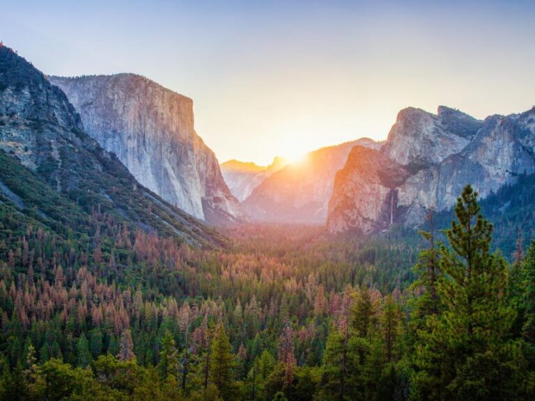 From Sfo Yosemite National Park Enchanting Full Day Tour Tour Details