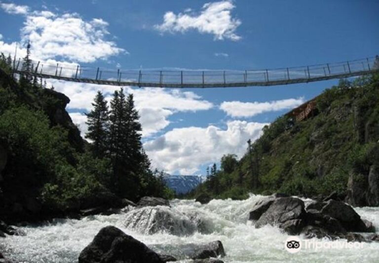 From Skagway: White Pass And Yukon Suspension Bridge Tour Activity Details