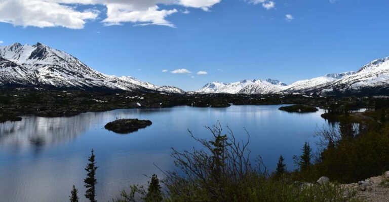 From Skagway: White Pass Summit Guided Bus Tour Tour Overview