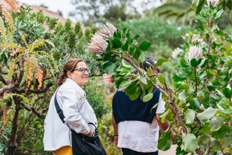 From South Tenerife: La Gomera Island Day Trip With Lunch Tour Overview And Pricing