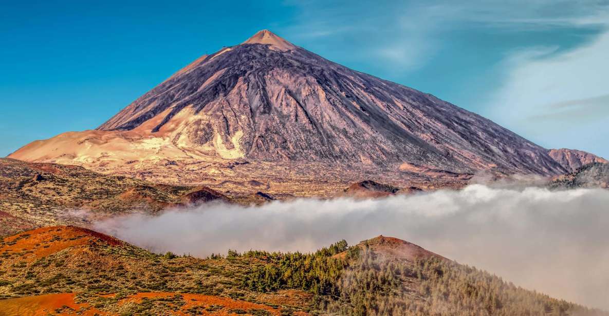 From South Tenerife: Mount Teide Hiking Day Trip & Cable Car - Overview and Pricing