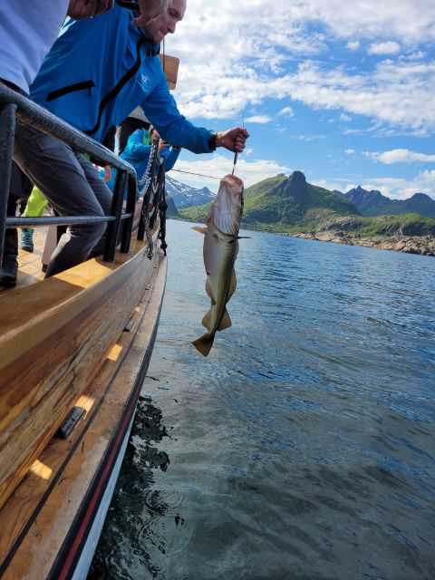 From Svolvaer: Lofoten Fishing Boat Cruise Overview Of The Fishing Cruise