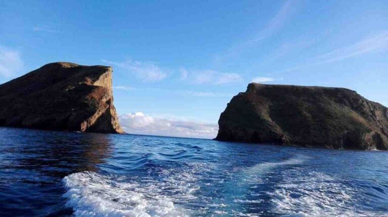 From Terceira Island: Ilhéu Das Cabras Snorkeling Boat Tour Tour Overview