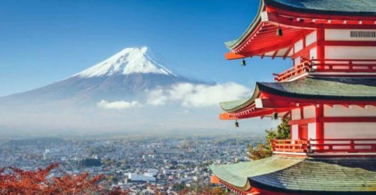 From Tokyo: Mount Fuji And Hakone 1 Day Private Tour By Car Pickup And Accessibility