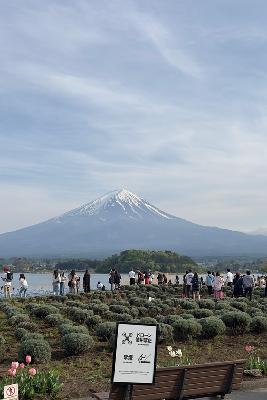 From Tokyo: Mt. Fuji Highlights Customizable Private Tour Tour Overview And Pricing