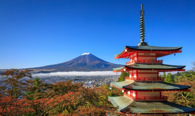 From Tokyo: Mt. Fuji Or Hakone Private Sightseeing Day Trip Tour Overview And Pricing