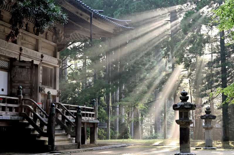 From Tokyo: Private Nikko World Heritage Sights Day Trip - Itinerary and Attractions