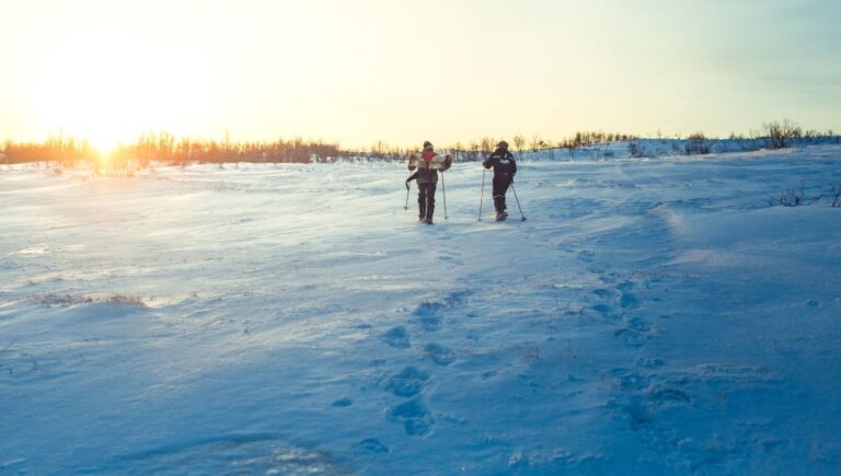 From Tromsø: Guided Husky Snowshoe Hike And Husky Camp Visit Arctic Adventure On Foot