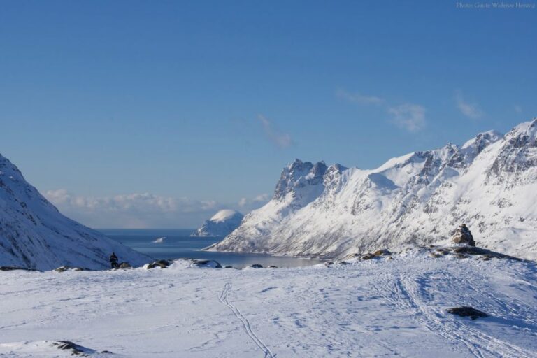 From Tromsø: Guided Snowshoe Hike With Cafe Visit Meeting Location And Time