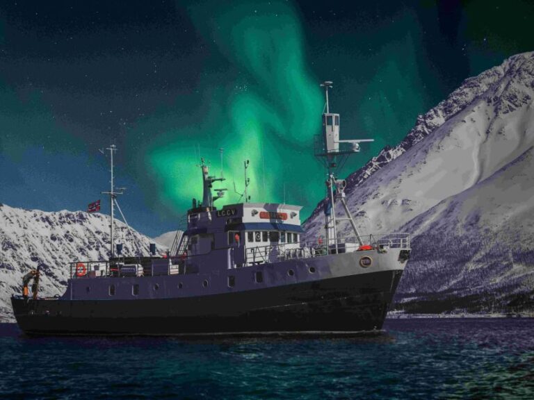 From Tromsø: Northern Lights Cruise On A Cozy Vintage Vessel Captivating Fjord Views