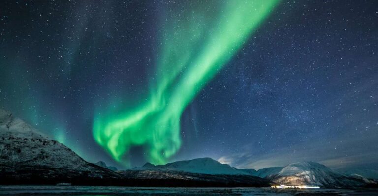 From Tromsø: Overnight Northern Lights & Whale Watching Tour Immersive Arctic Adventure