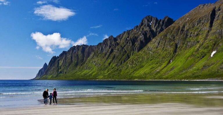 From Tromsø: Self Guided Fjord Tour To Senja And Local Lunch Tour Overview