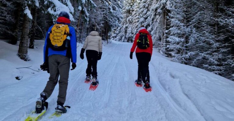 From Tromsø: Snowshoe Hike in the Arctic