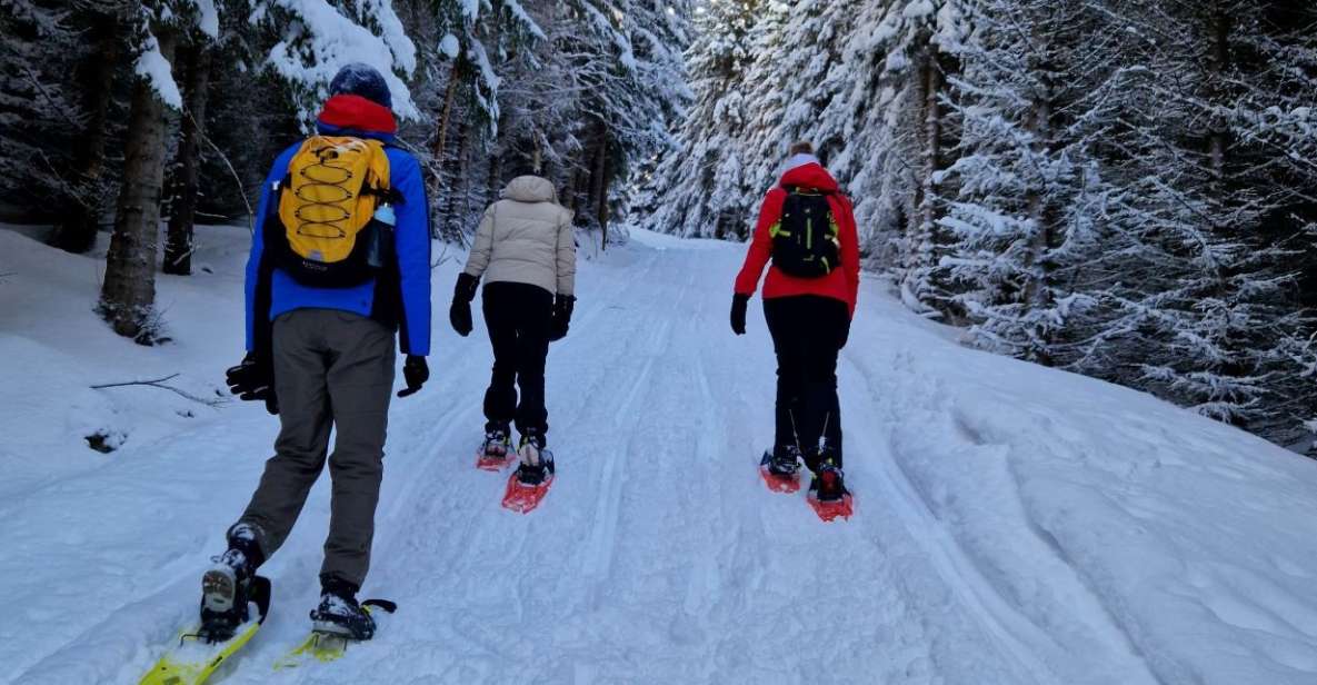 From Tromsø: Snowshoe Hike in the Arctic - Immersive Arctic Adventure