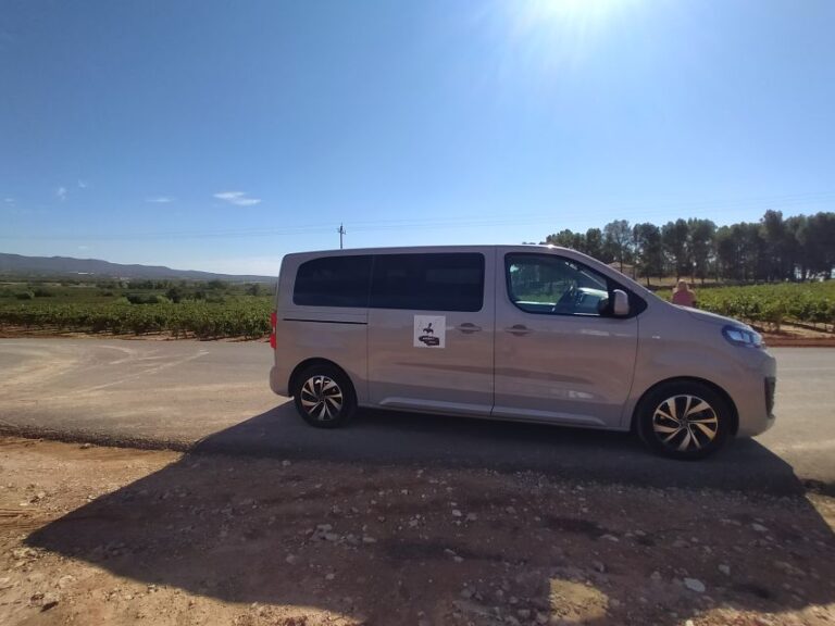 From Valencia: Requena Wine Tour With Tastings Tour Duration And Pickup/return