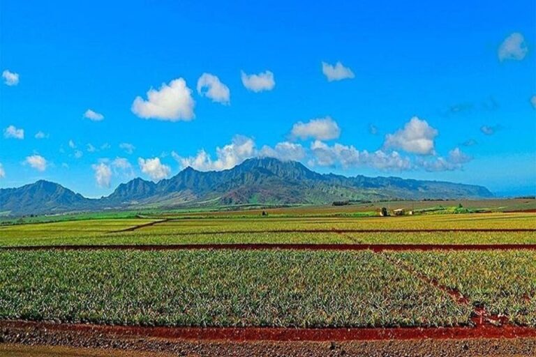 From Waikiki: Oahu Grand Circle Island Experience Tour Overview