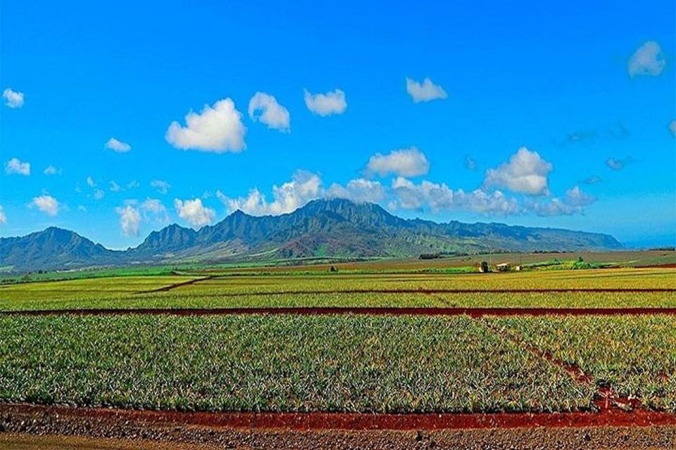 From Waikiki: Oahu Grand Circle Island Experience - Tour Overview