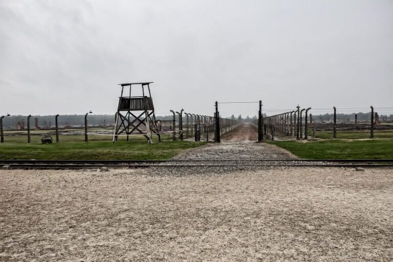 From Warsaw: Auschwitz Birkenau Guided Tour With Fast Train Tour Overview