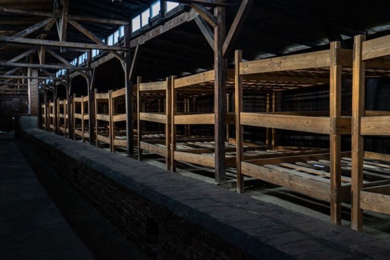 From Warsaw: Auschwitz Birkenau & Private Transport Tour Overview And Pricing