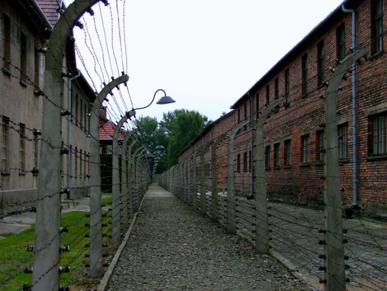 From Warsaw: Full Day Guided Trip To Auschwitz Birkenau Overview And Pricing