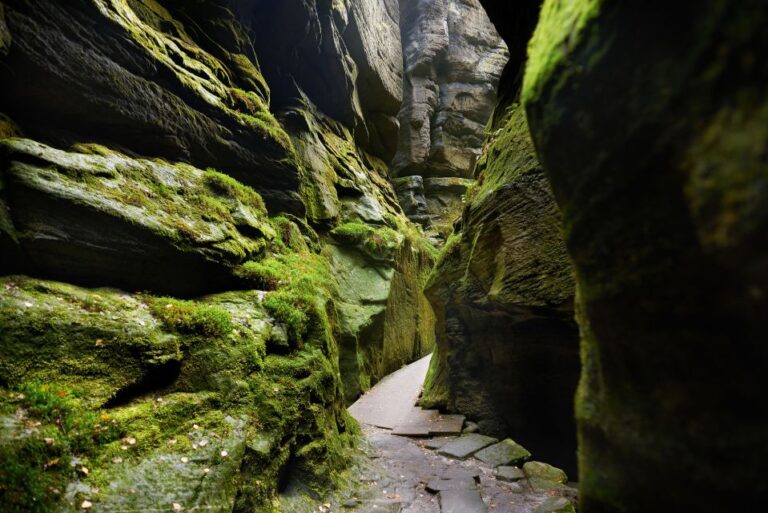 From Wroclaw: Hiking Trail In Rock City Tour Overview