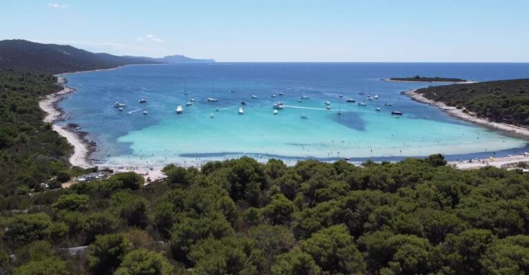 From Zadar: Full Day Boat Trip To Sakarun Beach & Dugi Otok Tour Overview