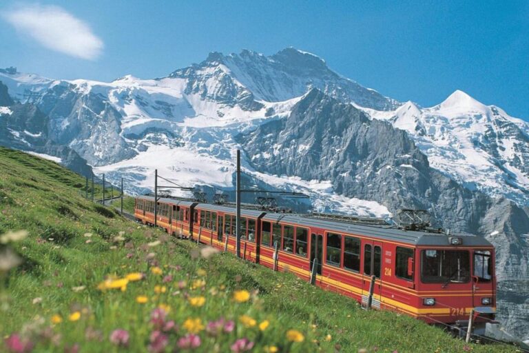 From Zurich: Jungfraujoch Guided Day Tour With Cogway Train Zurich To Jungfraujoch: A Scenic Journey