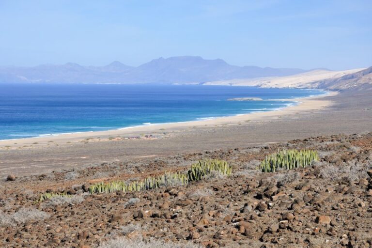 Fuerteventura: Off Road Safari Tour Tour Overview