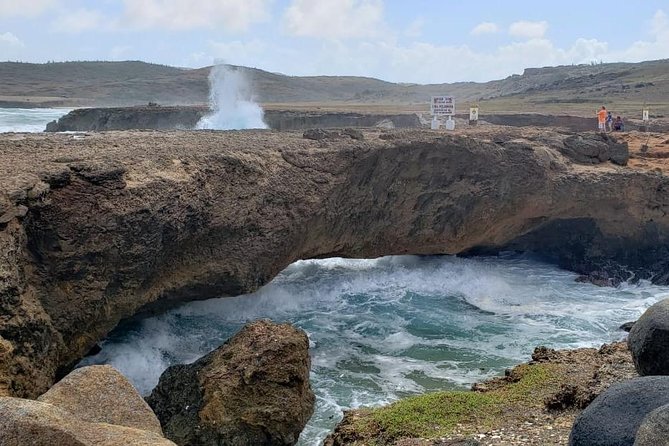 Full-Day Aruba History and Must-See Landmarks Tour - Aruba Aloe Factory and Museum