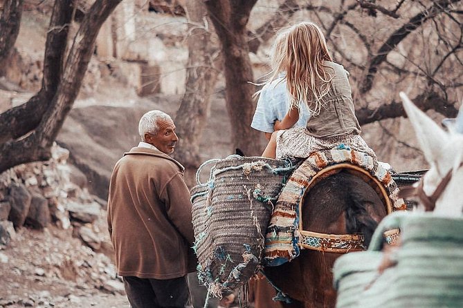 Full-Day Berber Villages Private Cultural Tour From Marrakech - Tour Overview