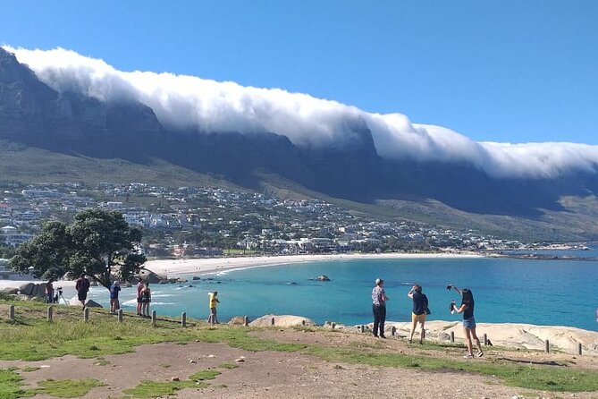 FULL Day Cape of Good Hope and Boulders Penguin Colony - Tour Overview