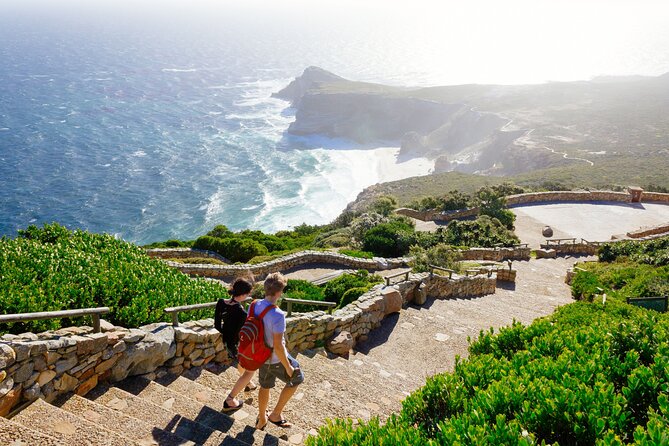 Full Day Cape Peninsula Tour Tour Overview