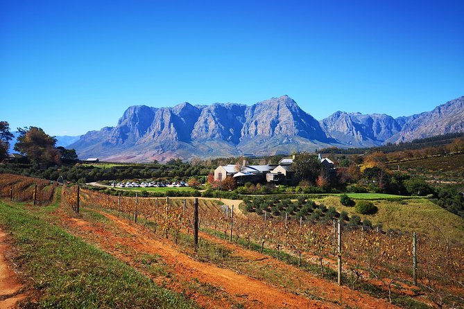 Full Day Chocolate, Cheese, Olive And Wine Tour From Stellenbosch Inclusions