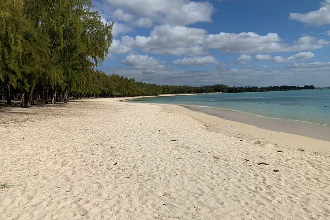 Full Day Dolphin Watching Cruise In Mauritius Tour Overview