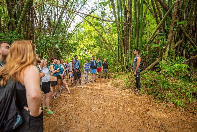 Full-Day El Yunque Rainforest Hike With Waterslide From San Juan - Logistics