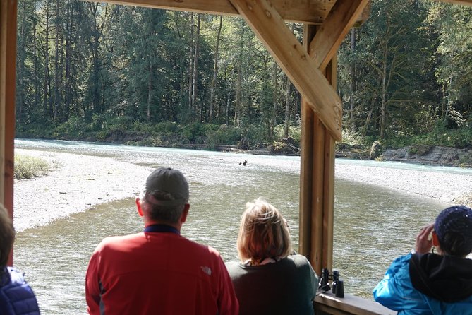 Full Day Grizzly Bear Tour To Bute Inlet Inclusions And Amenities