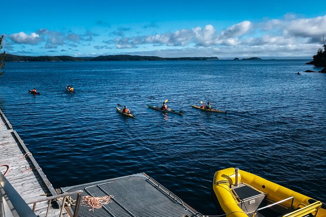 Full Day Kayaking Adventure On Vancouver Island Overview Of The Adventure