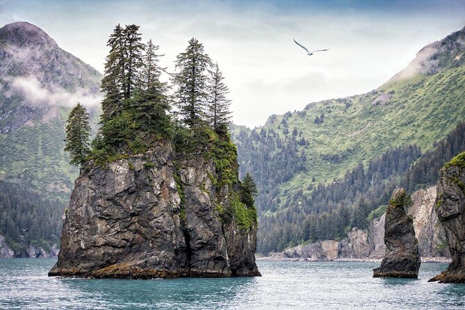 Full Day Kenai Fjords National Park Cruise Cruise Overview And Experience