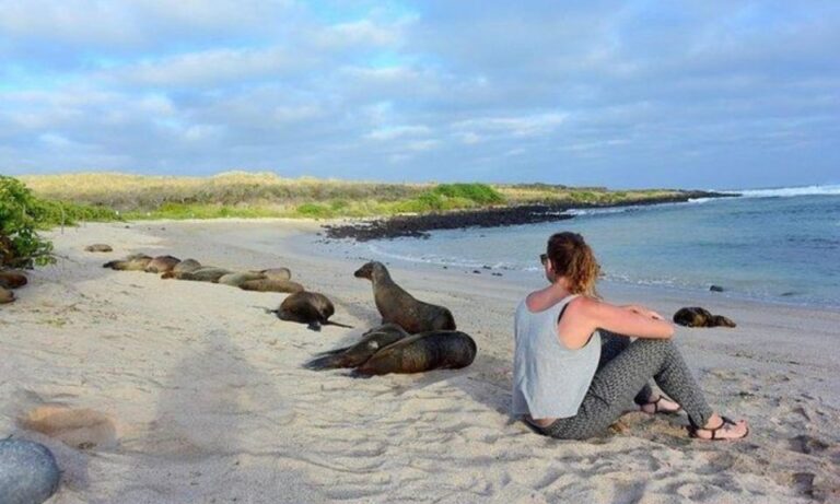 Full Day Leon Dormido And Lobos Island Tour Tour Overview