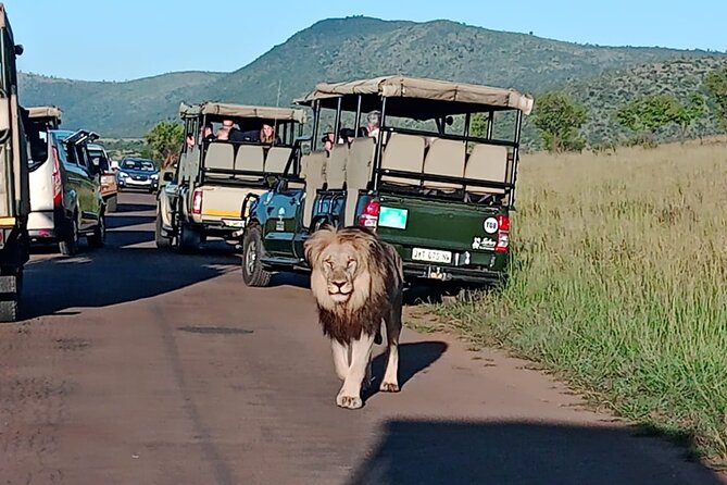 Full Day Pilanesberg Safari Adventure Safari Location And Duration