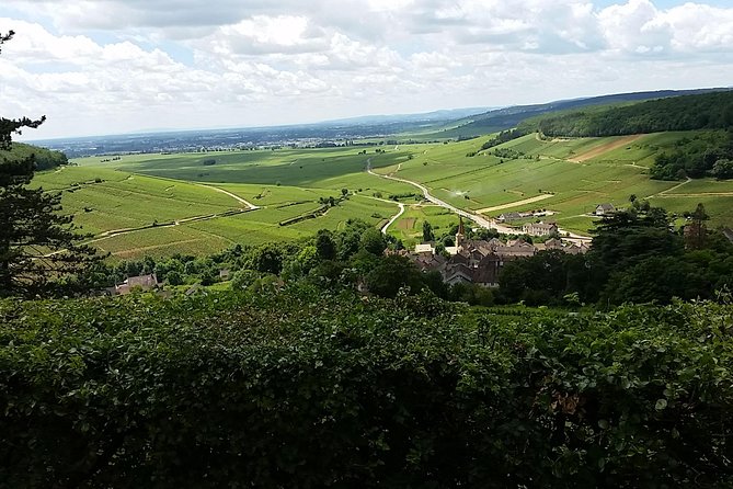 Full Day Private Burgundy Wine Route Tour From Beaune Tour Overview And Highlights