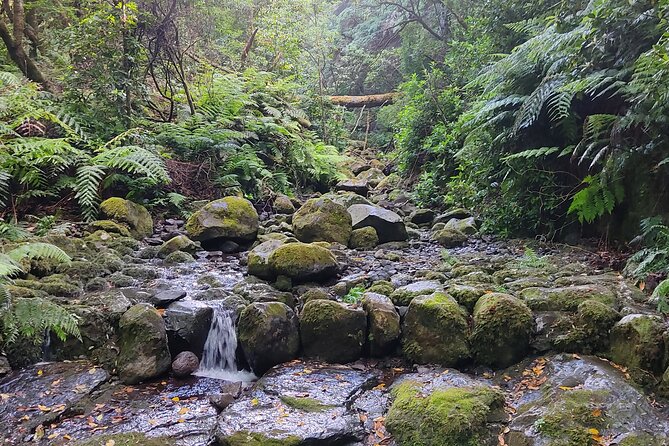 Full Day Self Guided Hike In Caldeirão Verde Levada Inclusions And Logistics