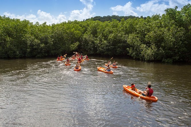 Full Day Socoho Historic Sites Mangrove Kayak & Reef Snorkeling Tour Overview